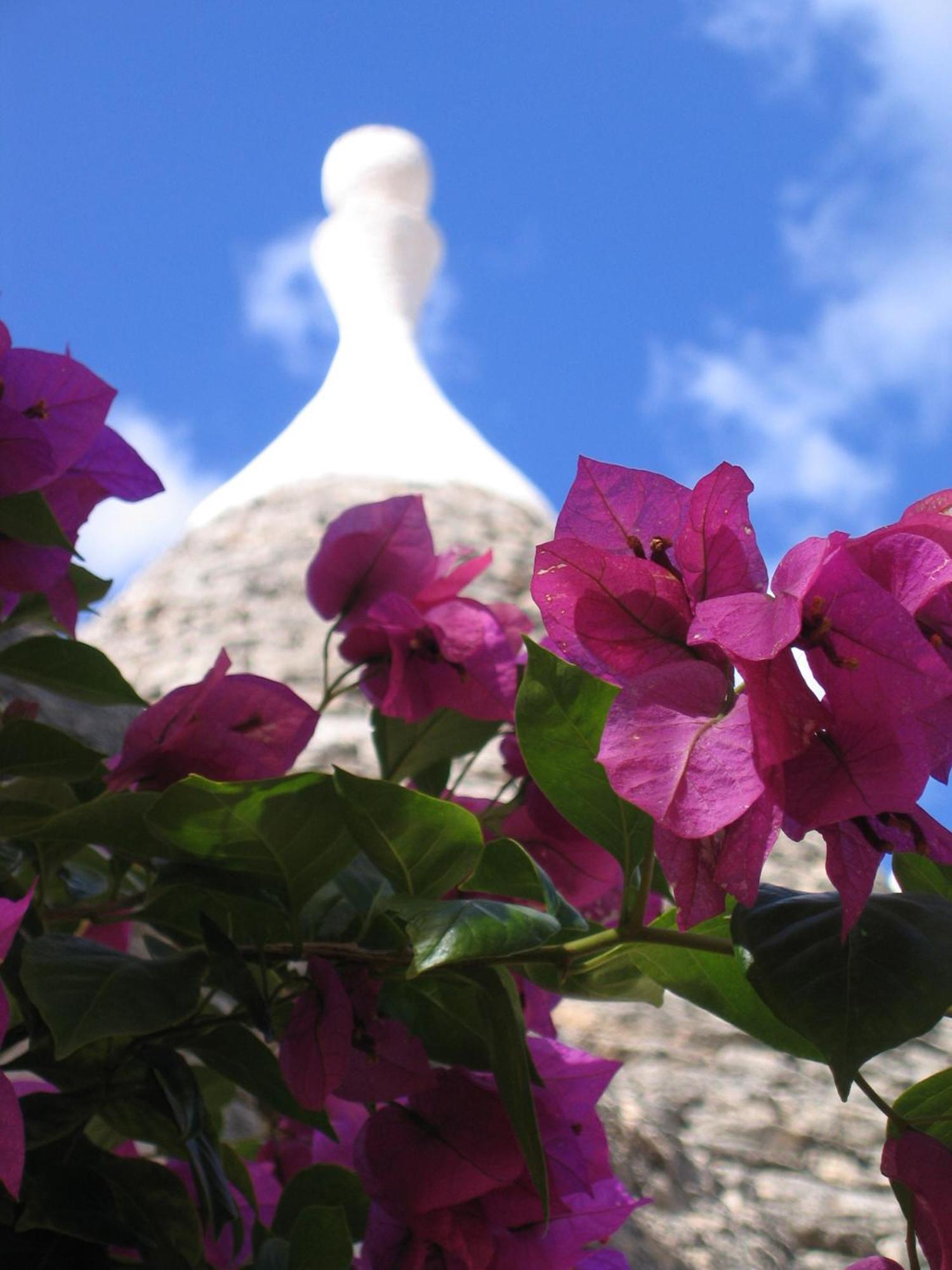 Vacanza In Puglia Alberobello Eksteriør bilde