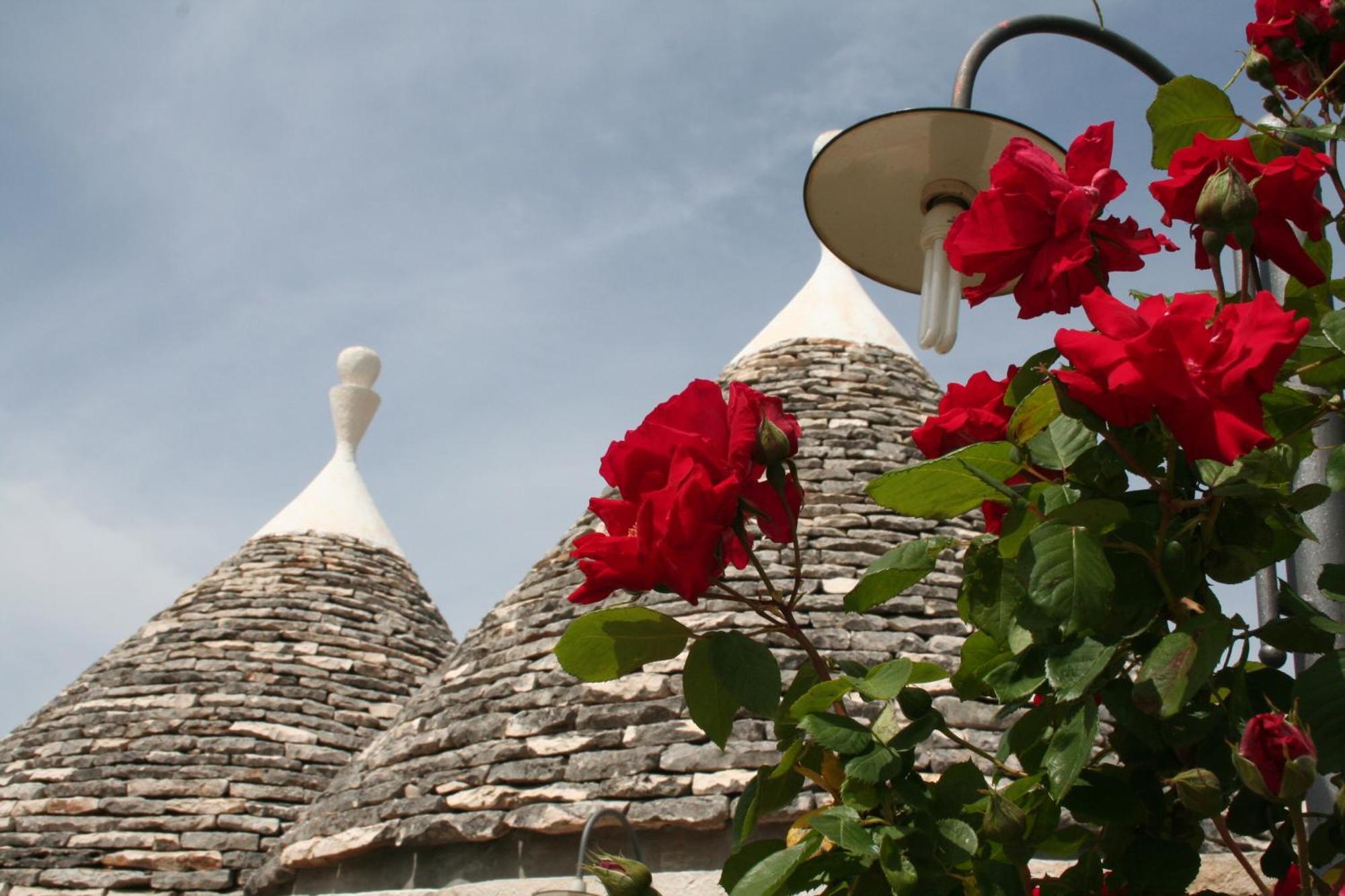 Vacanza In Puglia Alberobello Eksteriør bilde